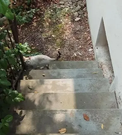 P2 Ventabren Daire Nîmes